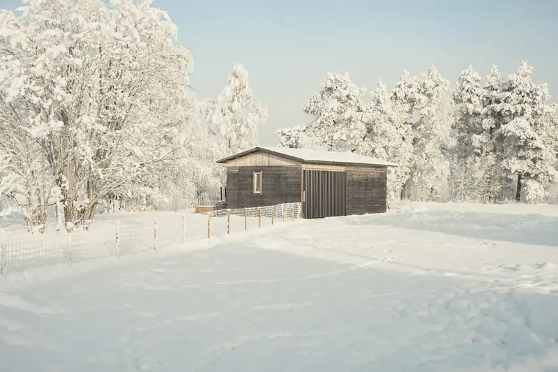 A stunning winter landscape photograph of the same wooden outbuilding, completely transformed by heavy snowfall. The building's roof, the ground, and the branches of all the surrounding birch and pine trees are covered in thick, pristine white snow, contrasting beautifully against a clear, pale blue winter sky.